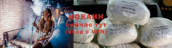 ПСИЛОЦИБИНОВЫЕ ГРИБЫ Инсар