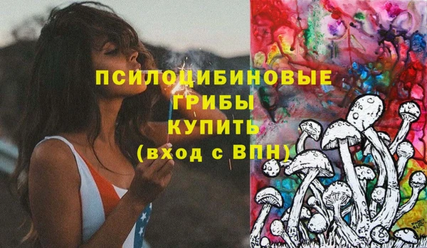 гашик Иннополис
