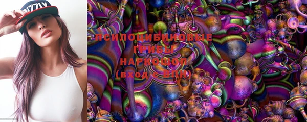 ПСИЛОЦИБИНОВЫЕ ГРИБЫ Инсар
