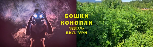 гашик Иннополис
