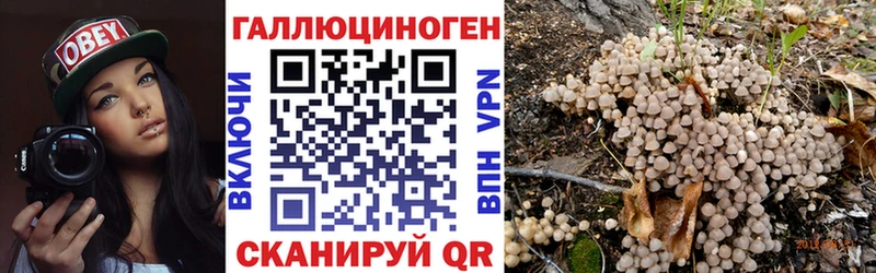Купить где  Болотное  Псилоцибиновые грибы MAGIC MUSHROOMS 